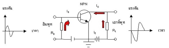 วงจรอิมิตเตอร์ร่วม ทรานซิสเตอร์ชนิด NPN